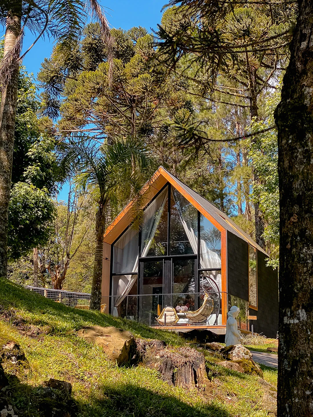 Lake house de fachada envidraçada em encosta gramada entre araucárias e palmeiras, com deck iluminado pelo sol